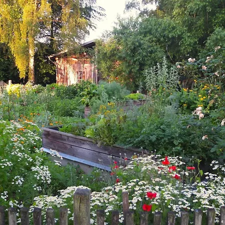 Atelierwohnung Hof Kranichmoor Horst (Steinburg)
