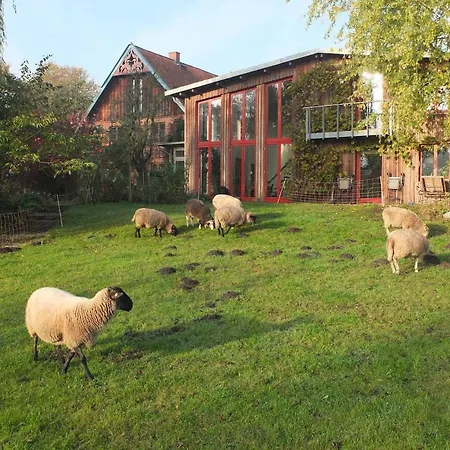 Atelierwohnung Hof Kranichmoor Apartment